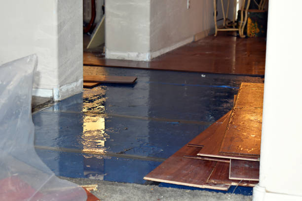 Professional Burst Pipe Cleanup technician working in Mirror Lake, NH